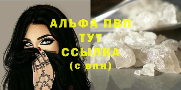 PSILOCYBIN Дмитриев